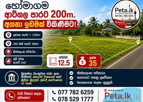Land For Sale