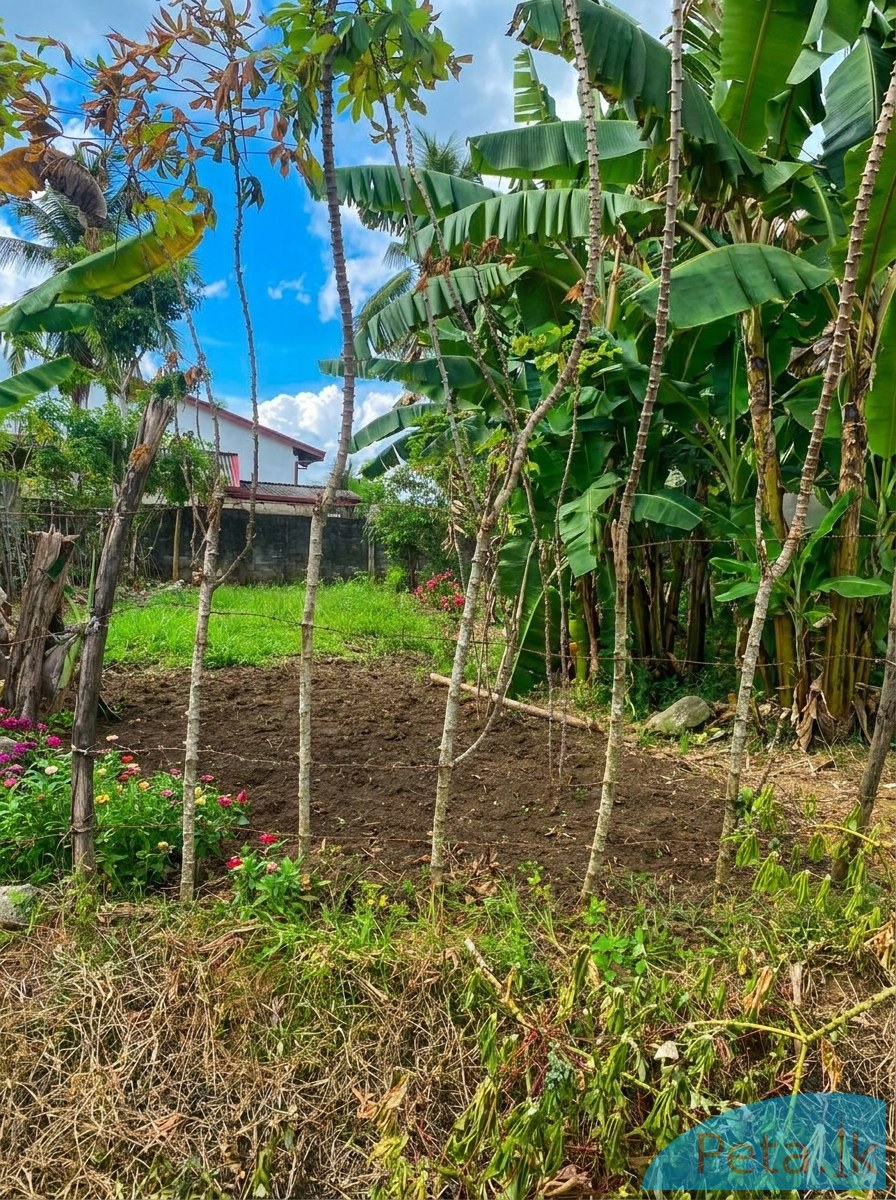 Lands For Sale