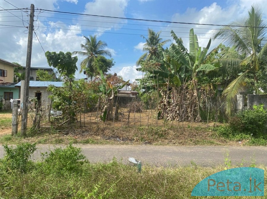 Lands For Sale