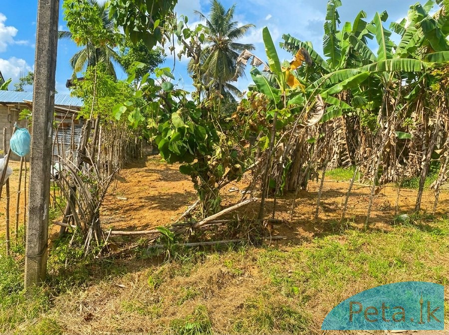 Lands For Sale