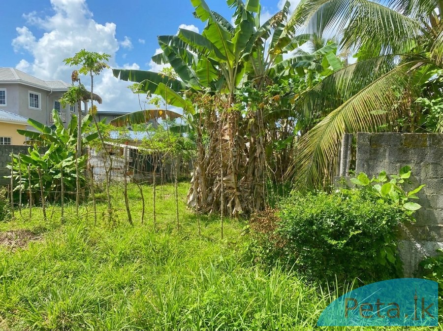 Lands For Sale