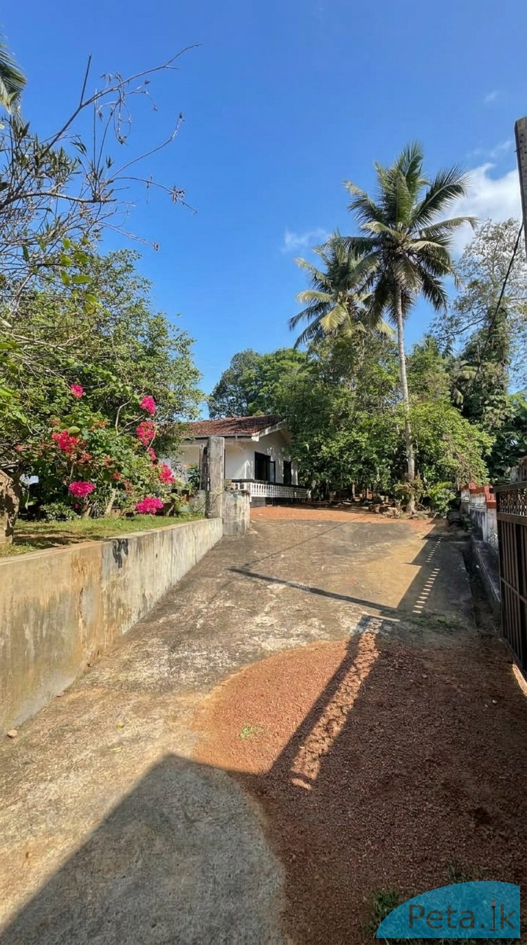 House For Sale 