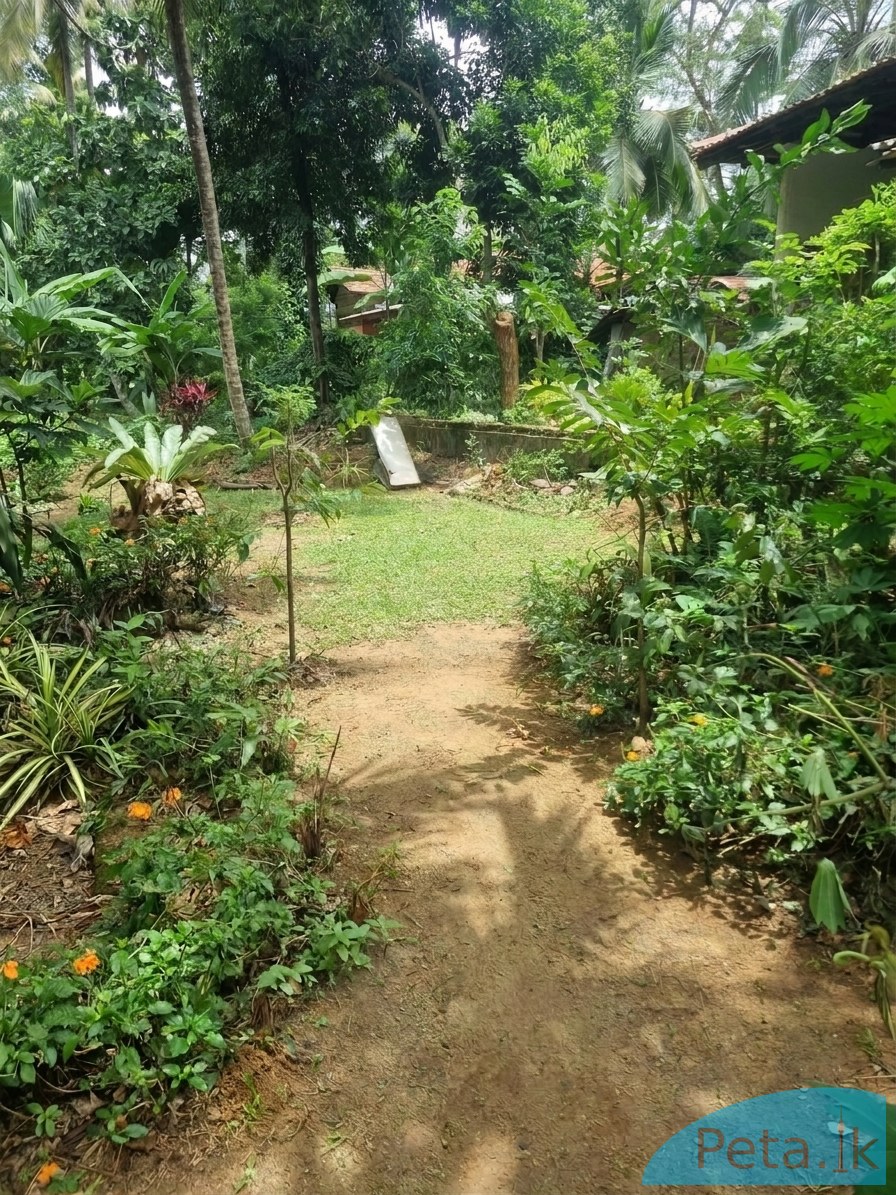 House For   Sale  