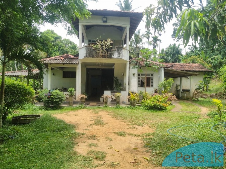 House For   Sale  