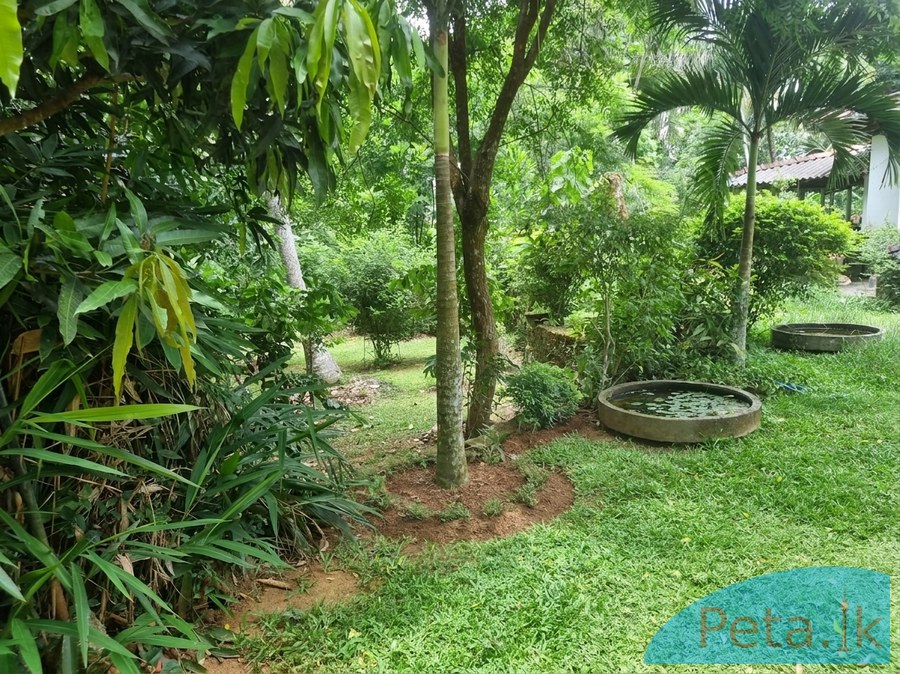 House For   Sale  