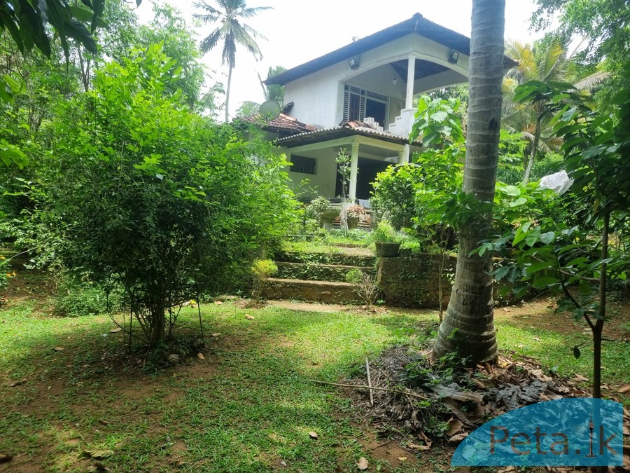 House For   Sale  