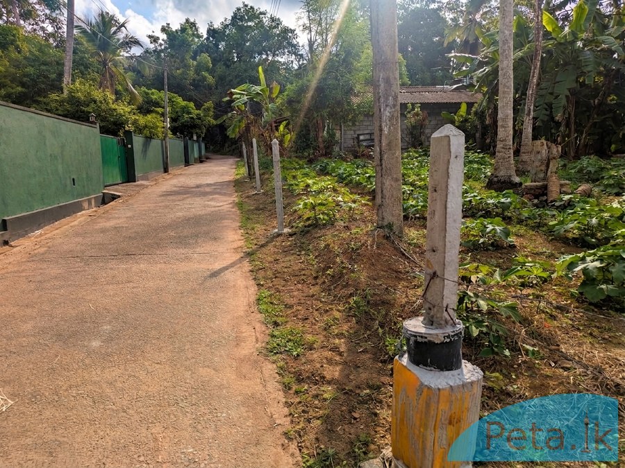 Land For Sale