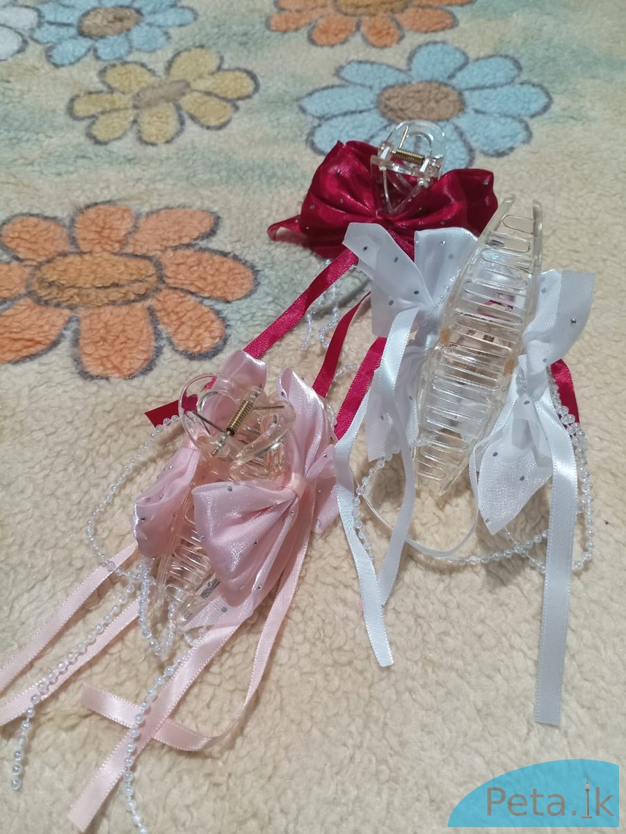 Fancy hair clips