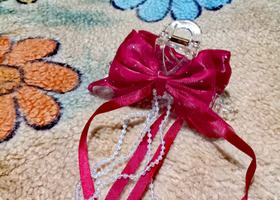 Fancy hair clips