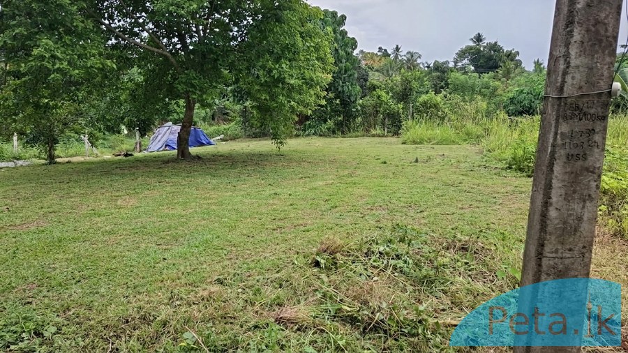 Land For Sale 