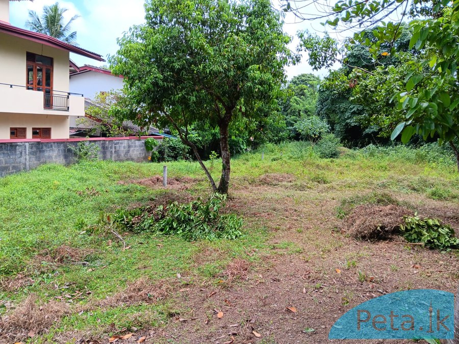 Land For Sale 