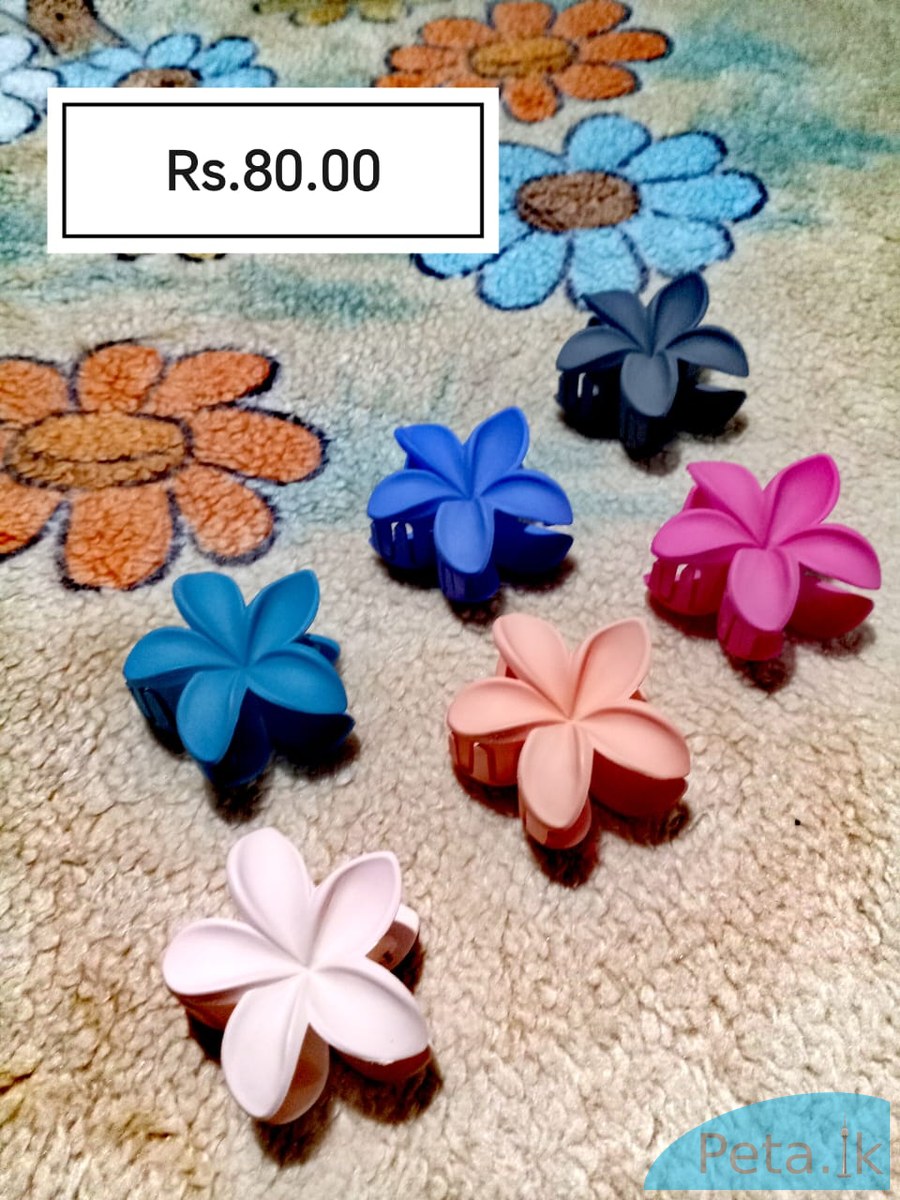 Araliya hair clips 