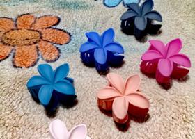 Araliya hair clips 
