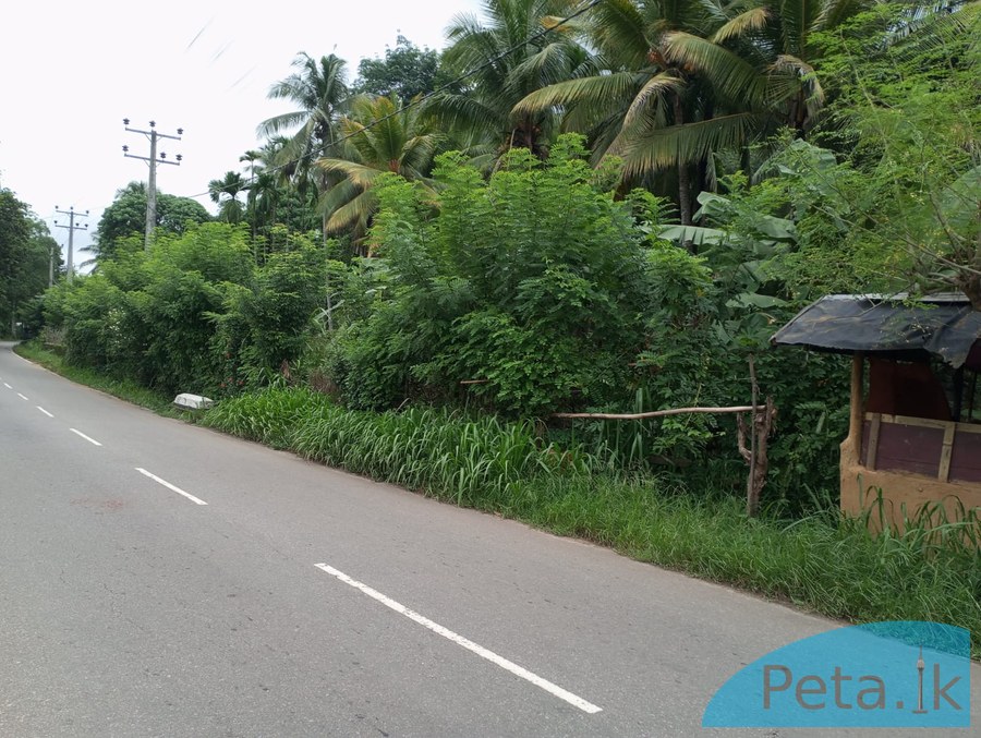 Land For Sale in Kiridiwela