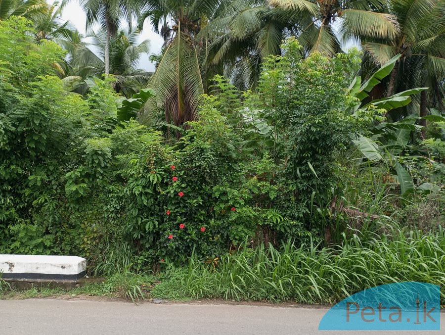 Land For Sale in Kiridiwela