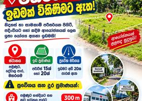 Land For  Sale In Pamunuwa