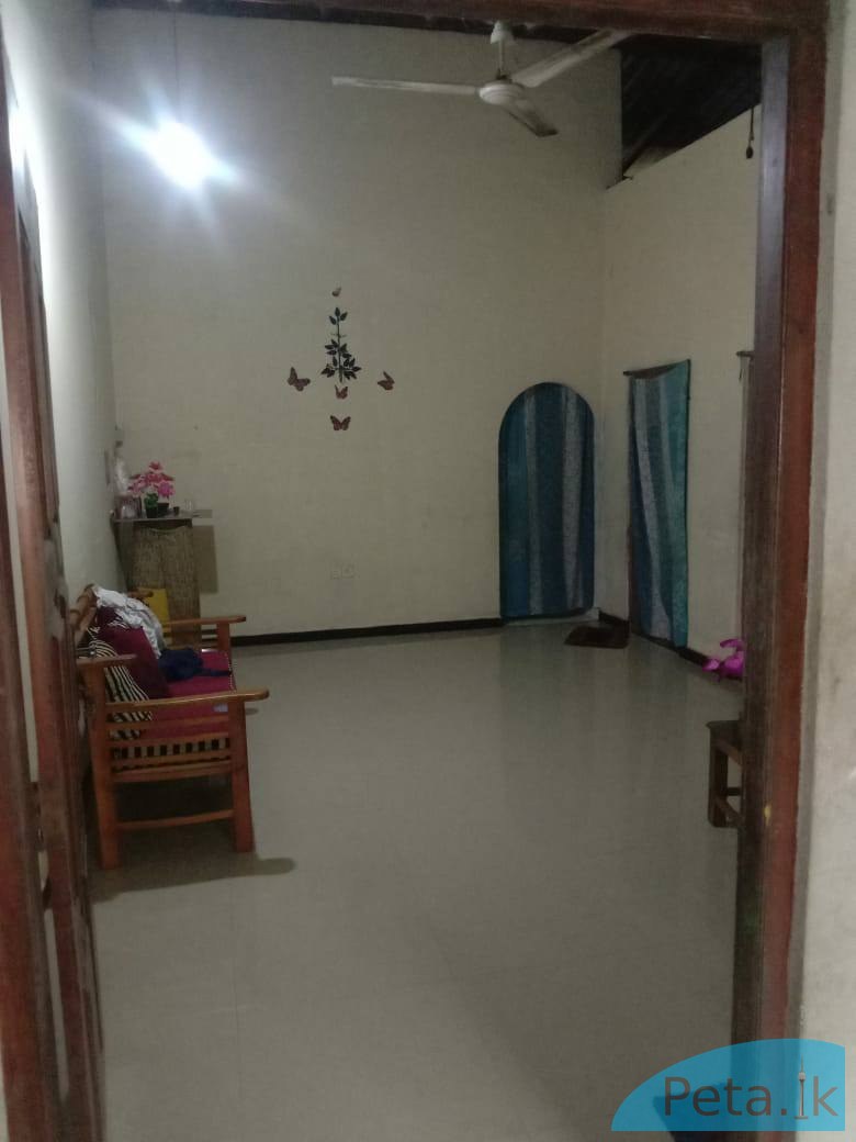 Houses for Sale