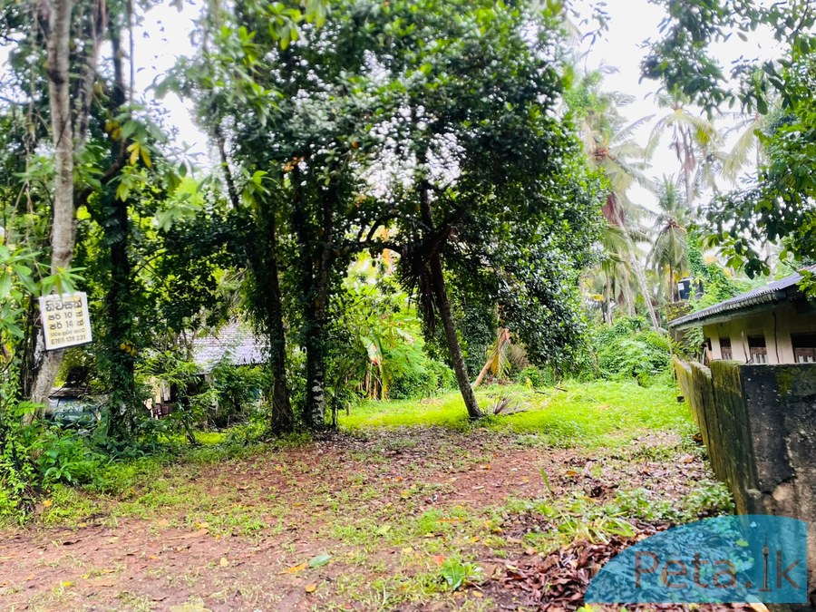 Land For Sale in Kadawatha 