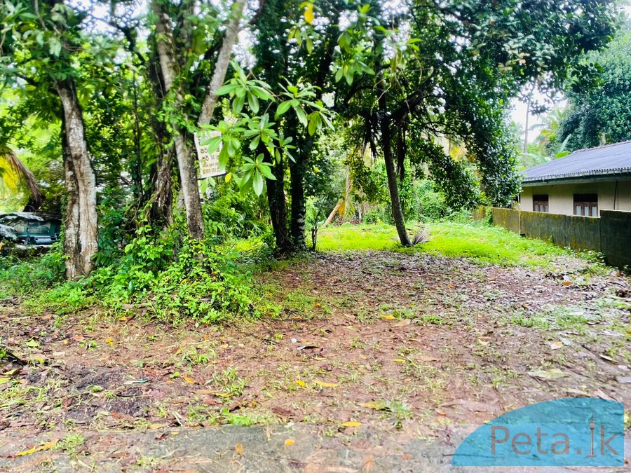 Land For Sale in Kadawatha 