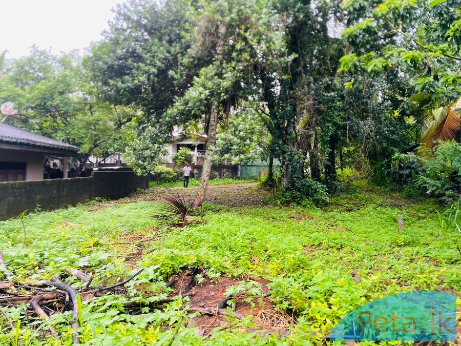 Land For Sale in Kadawatha 