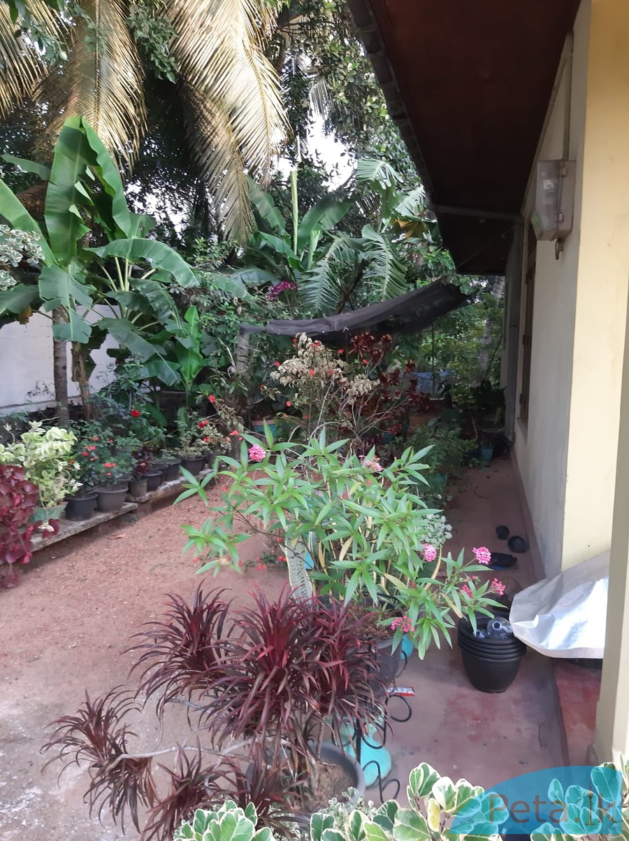 House For Sale In Kadawatha 