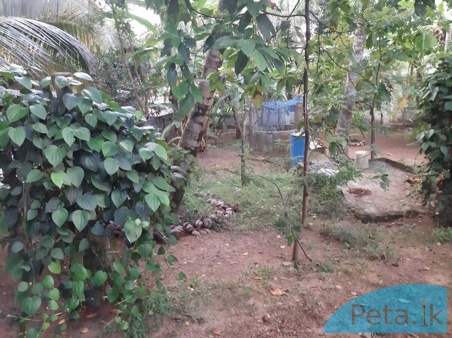 House For Sale In Kadawatha 