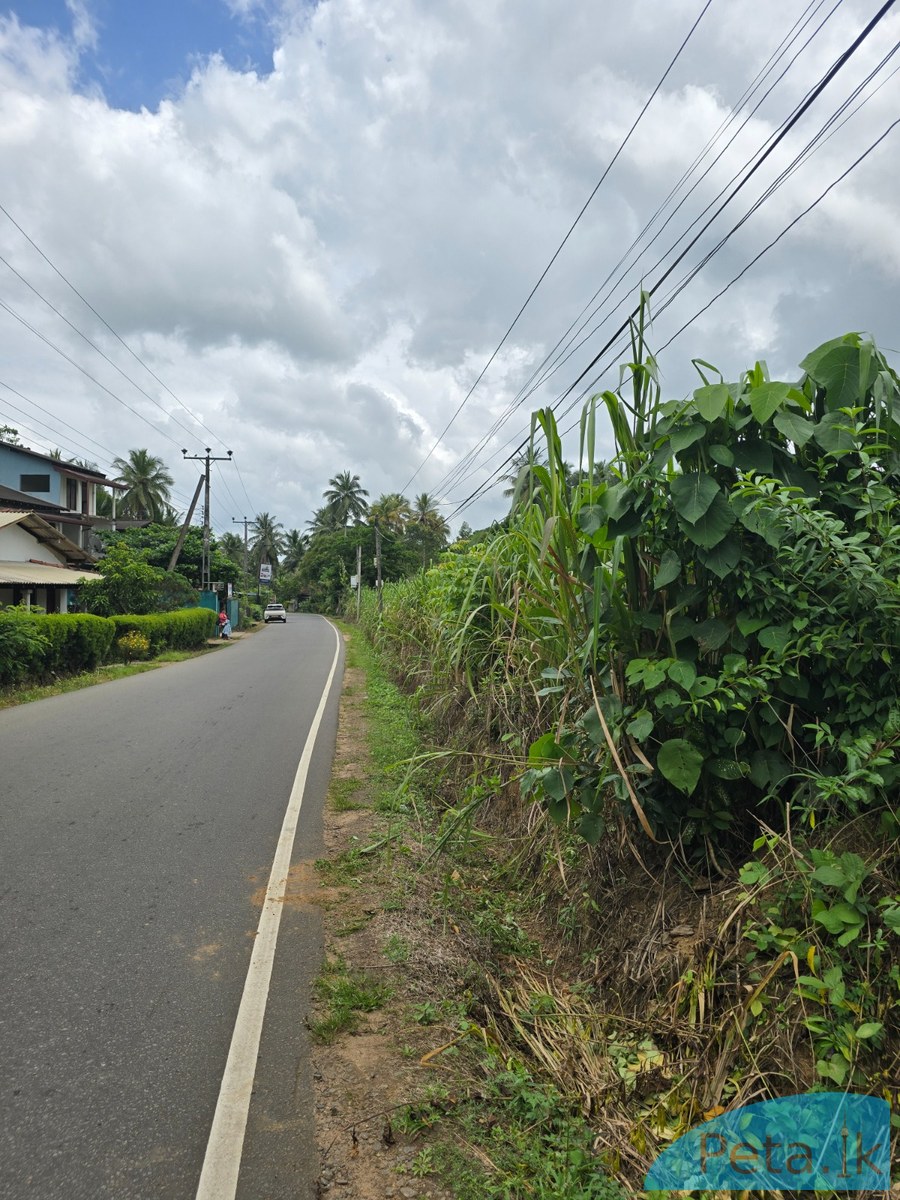 Land For Sale  In Handapaangoda