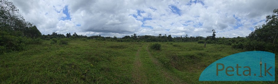 Land For Sale In Handapangoda