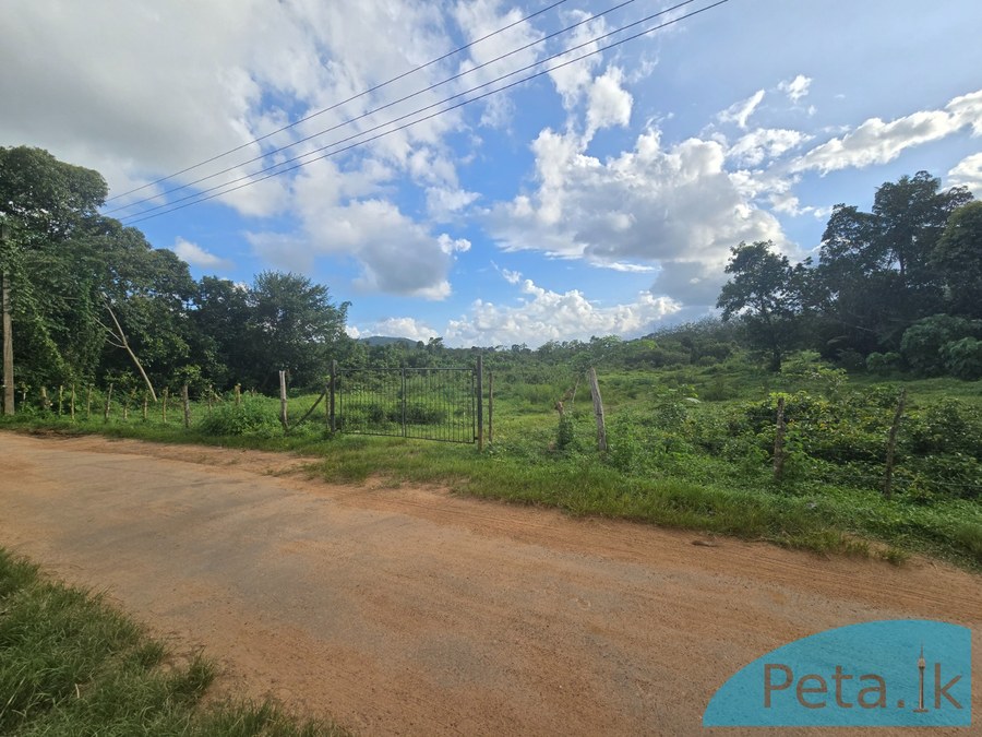 Land For Sale In Handapangoda
