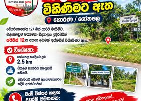 Land For Sale In Gonapala