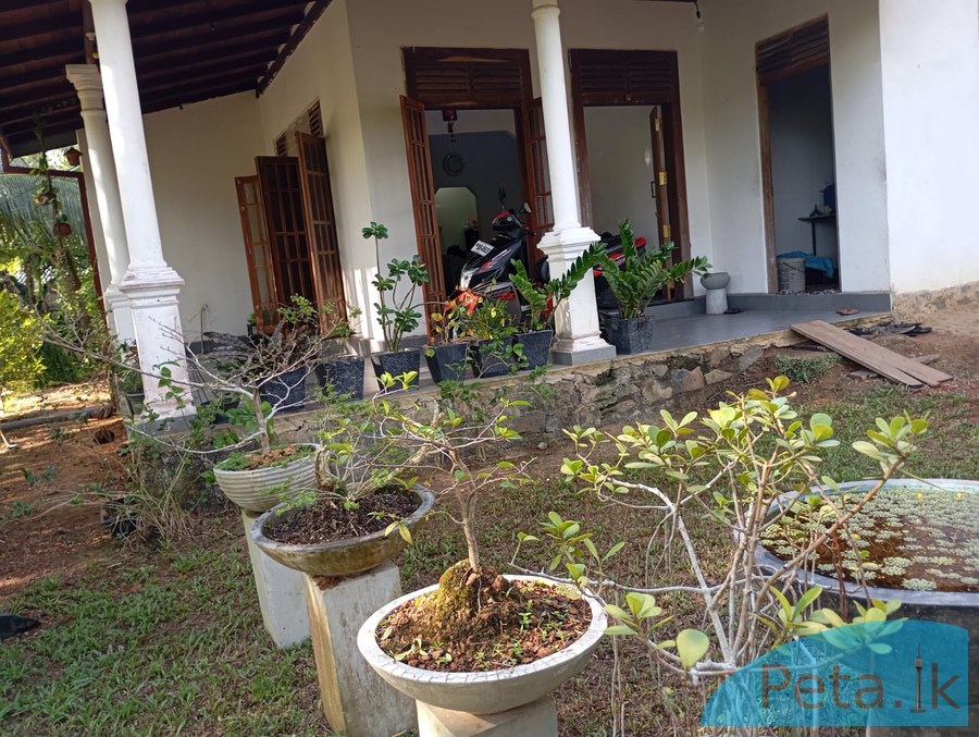 House for Sale in Paragasthota