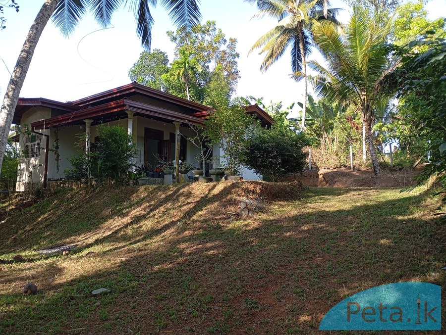 House for Sale in Paragasthota