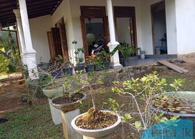 House for Sale in Paragasthota