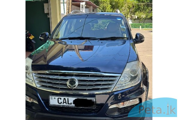 Micro Rexton 2015