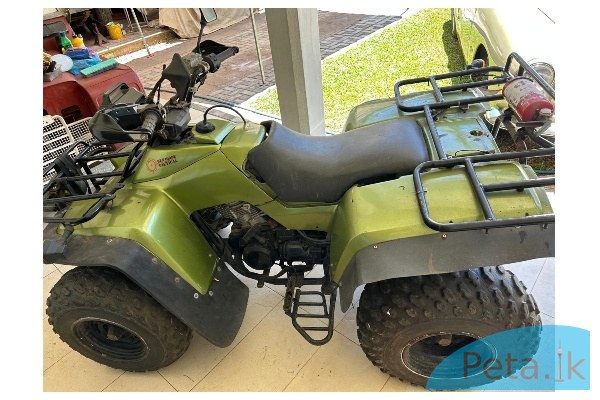 Classic Kawasaki Bayou 300 – Pro Series 2WD with Rear Diff-Lock