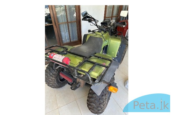 Classic Kawasaki Bayou 300 – Pro Series 2WD with Rear Diff-Lock