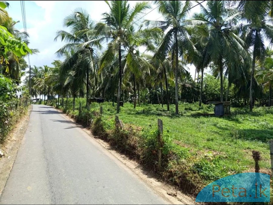 Land sale / Makubura 