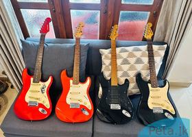 Electric Guitars (Used)
