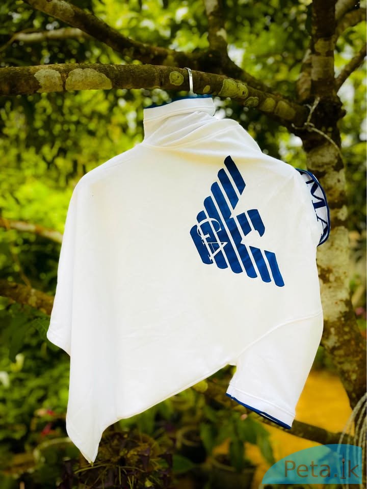 220 gsm cotton t shirt