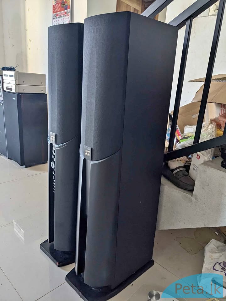 Floor  Standing Speaker