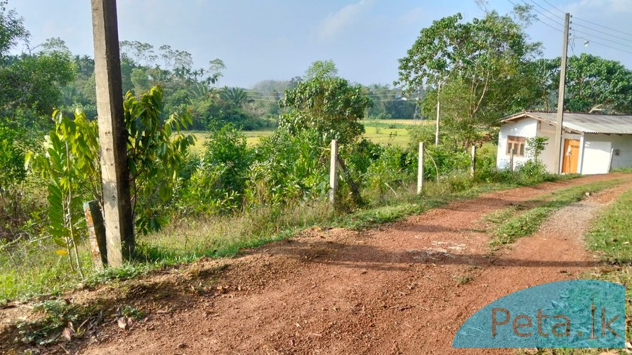 land for sale