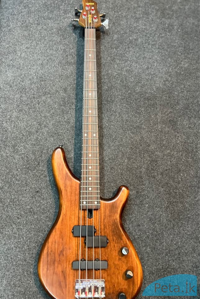 Bass Guitar