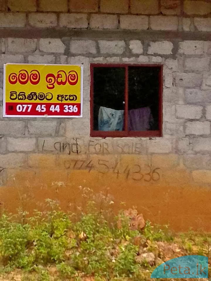 LAND SALE