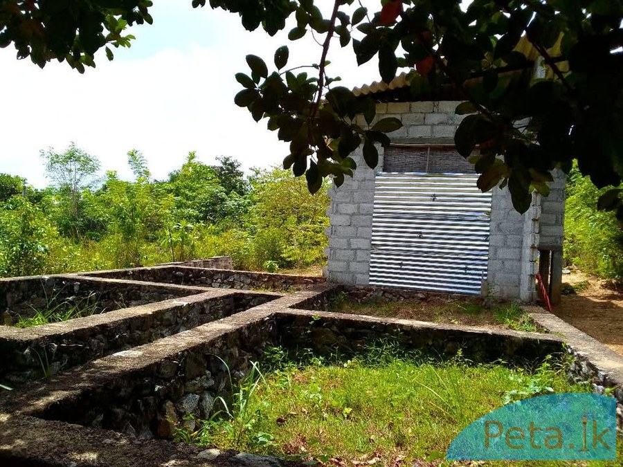 LAND SALE
