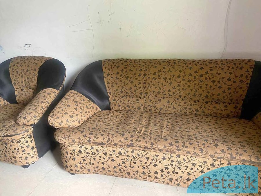 Sofa sale