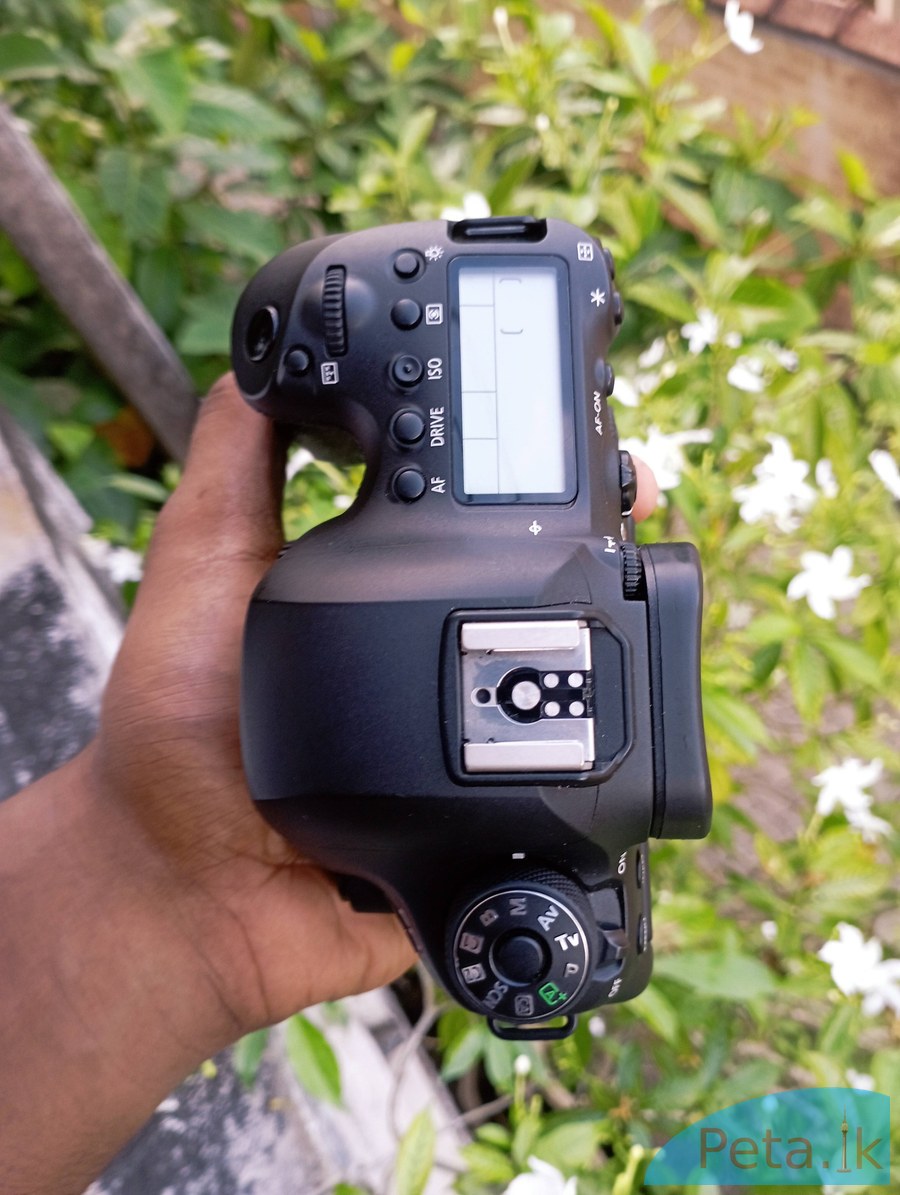 Canon EOS 6D Mark II