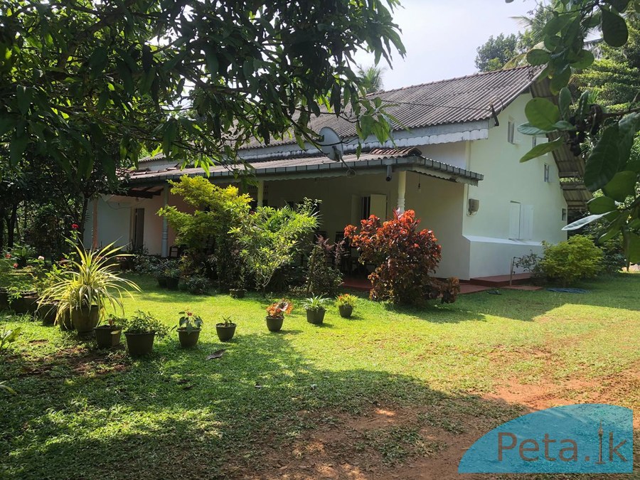 House for sale