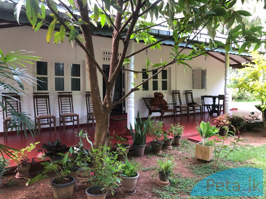 House for sale