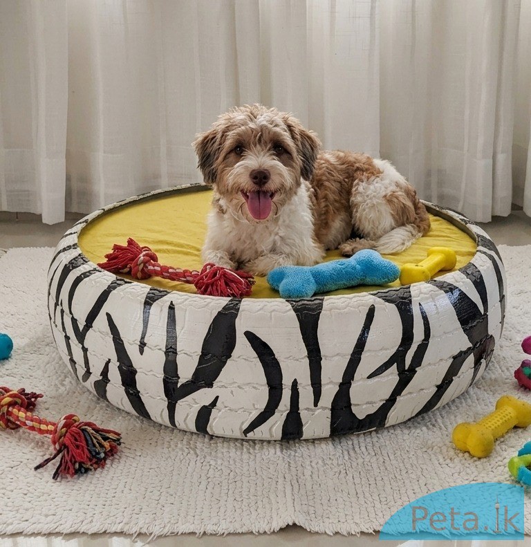 Pet Bed