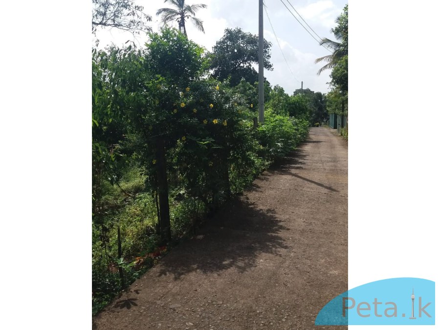 Land for sale